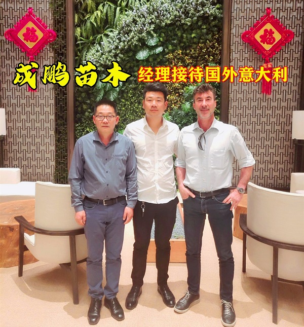一文帶你全面了解：目前種植蘋果還可以發展嘛？